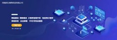 行业专属软件开发（政务